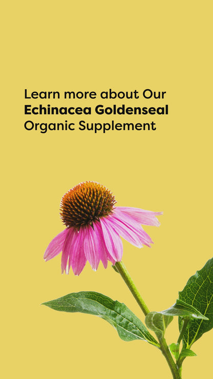 Echinacea Goldenseal